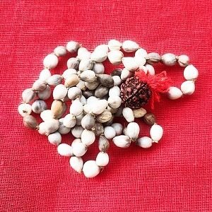 वैजयंती माला Vaijyanti mala