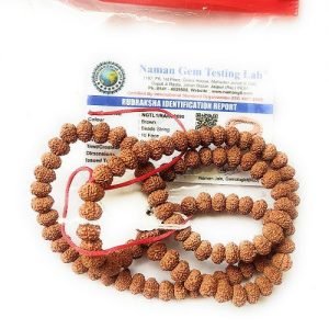 असली 10 मुखी नेपाली रुद्राक्ष माला 10 face rudraksha mala 10 mukhi