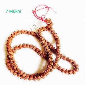 असली 7 मुखी नेपाली रुद्राक्ष माला असली जैसे भगवान शिव 8mm 7 mukhi nepali rudraksha mala bina certificate