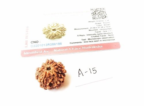 RASHI ANUSAR RUDRAKSH