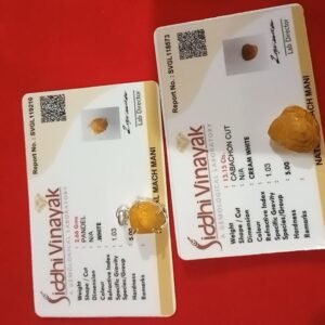 मच्छ मनी Machch Mani