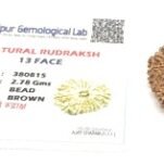 13 mukhi rudraksha  13 मुखी रुद्राक्ष 2.78 Gms