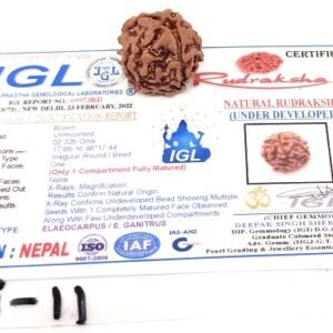 एक मुखी गोल रुद्राक्ष नेपाली दुर्लभ ek mukhi rudraksha 17 mm Certified code R11