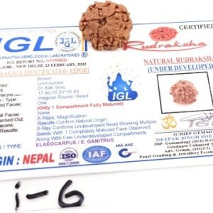 एक मुखी गोल रुद्राक्ष नेपाली दुर्लभ ek mukhi rudraksha 20 mm Naman Lab Certified code R 6